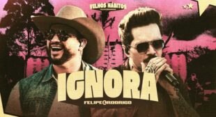 Ignora (Ao Vivo) (English Translation) Song Lyrics