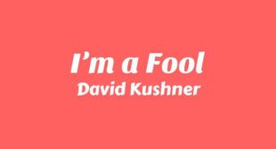 I’m a Fool Lyrics – David Kushner