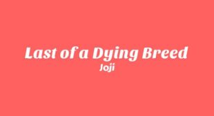 Last of a Dying Breed Lyrics – Joji