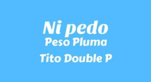 Lyrics of Ni pedo Song