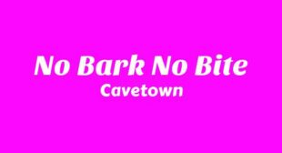 No Bark No Bite Song Lyrics
