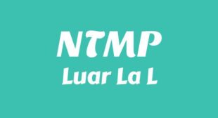 NTMP (English Translation) Lyrics – Luar La L