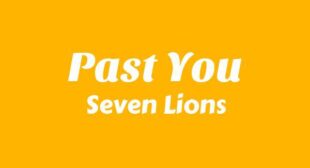 Past You Lyrics – Seven Lions