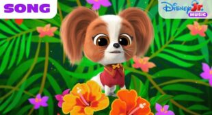 Perfect Puppy Play Day Song Lyrics