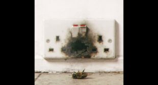 Lyrics of Punk Rocky Song