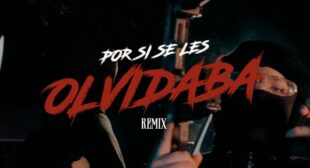 Por Si Se Les Olvidaba (Remix) Song Lyrics