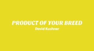 PRODUCT OF YOUR BREED Lyrics – David Kushner