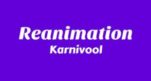 Lyrics of Reanimation Song