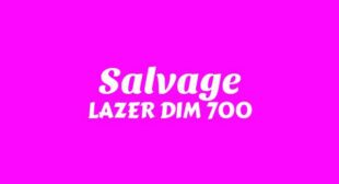 Salvage Lyrics – LAZER DIM 700
