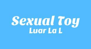 Sexual Toy Lyrics