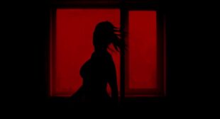 STAILA (English Translation) Lyrics