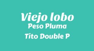 Lyrics of Viejo lobo (English Translation) Song