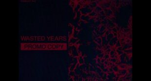 WASTED YEARS Lyrics – HEALTH