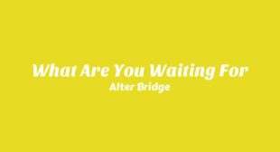 Lyrics of What Are You Waiting For Song