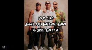 Bajo Cero Song Lyrics