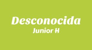 Desconocida Lyrics – CONTINGENTE II