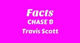 Lyrics of Facts Song