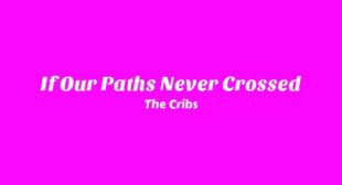 If Our Paths Never Crossed Song Lyrics