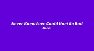 Never Knew Love Could Hurt So Bad Lyrics