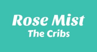 Lyrics of Rose Mist Song