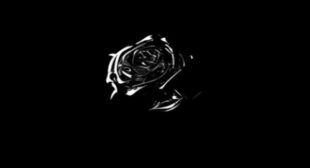 Snitching (Polo G Demo) Lyrics – The Leaks