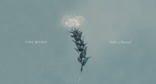 Lyrics of 그e��e�� 꽃이었e�� (Still, a Flower) Song
