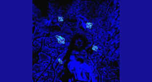 BLOODY ANGELS Lyrics – PHAZON VARIA