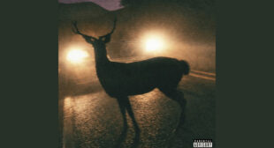 Family Business Song Lyrics