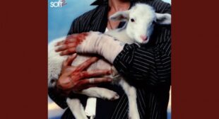 How To Hold An Angel Lyrics – Soft 2