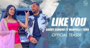 Garry Sandhu – Like U (Tere Jaisi) Lyrics