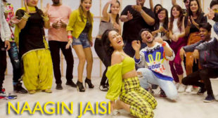 Lyrics of Naagin Jaisi Song