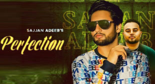 Perfection Song Lyrics – Sajjan Adeeb