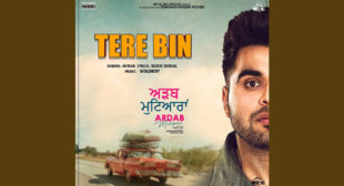 Tere Bin Lyrics – Ninja