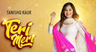 Teri Meri Lyrics