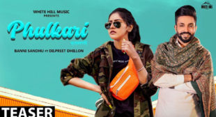 Lyrics of Phulkari Song