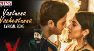 Vasthunnaa Vachestunna Lyrics