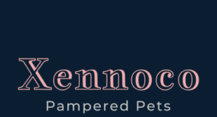 Affordable Pet Supplies