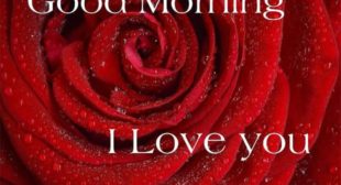 Good Morning Love Images HD