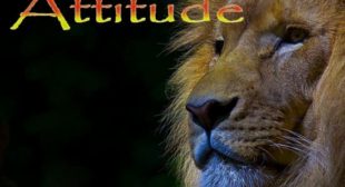 Beautiful Attitude Wallpaper HD Picture Download