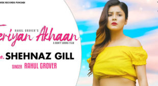 Teriyan Ankhan Lyrics – Rahul Grover