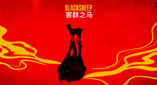 Black Sheep Lyrics