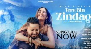 Tere Bin Zindagi Lyrics