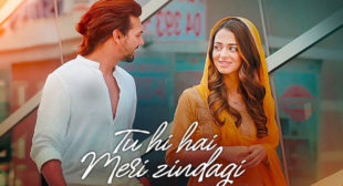 Tu Hi Hai Meri Zindagi Lyrics