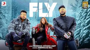 FLY LYRICS – Uchana Amit