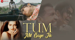 Tum Mil Gaye Ho Lyrics and Video