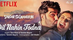 Dil Nahin Todna Lyrics – Sardar Ka Grandson