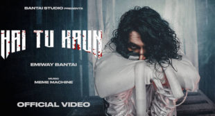 Lyrics of Hai Tu Kaun by Emiway