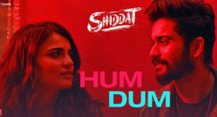 Hum Dum Shiddat Lyrics