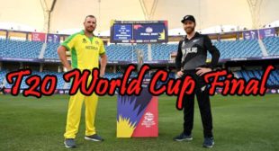 T20 World Cup Final: Australia Won the T20 World cup For the First Time