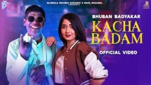 Kacha Badam Song Lyrics